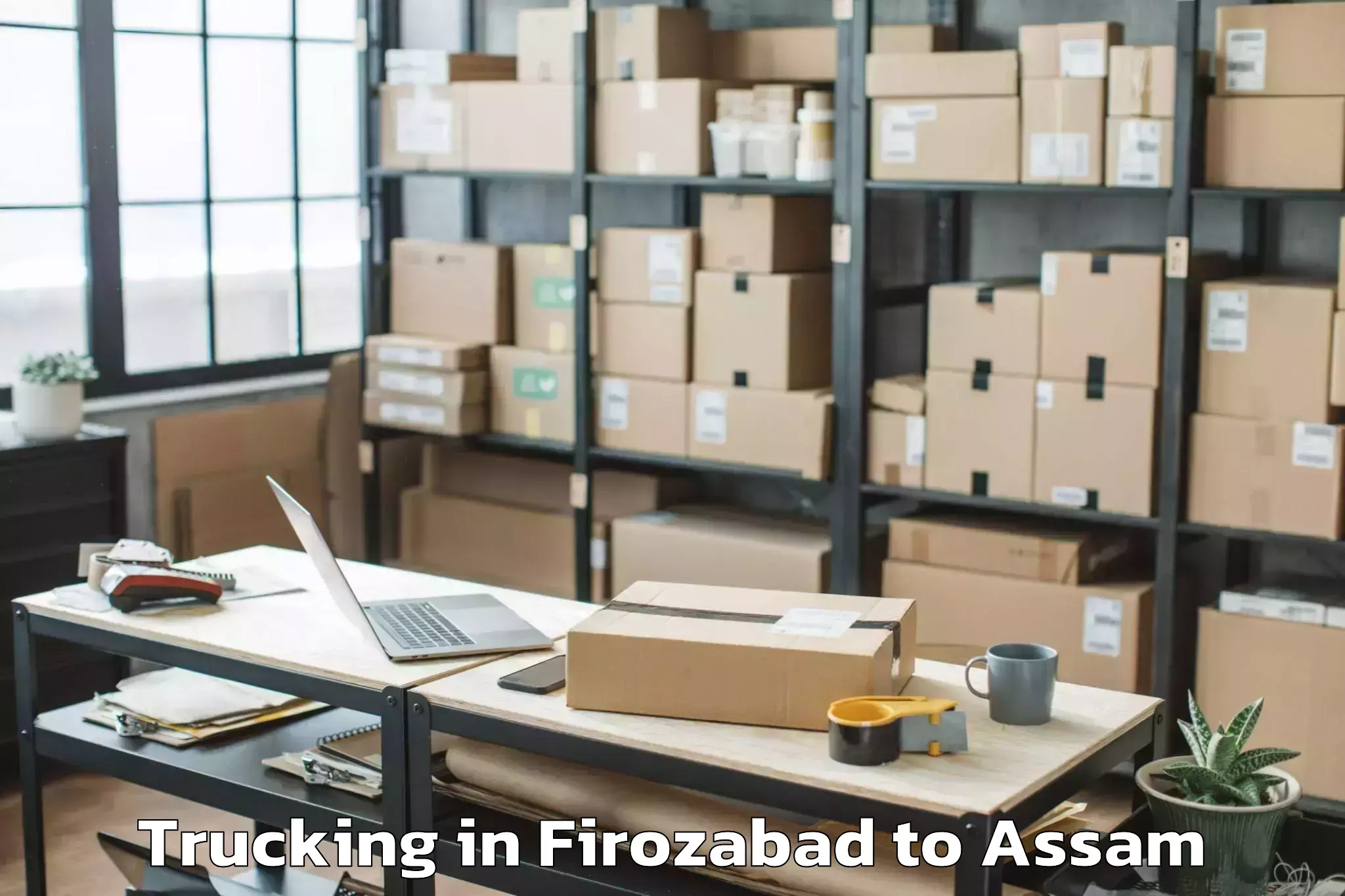 Leading Firozabad to Mayong Trucking Provider